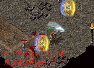 使用游戏标识符时需要注意哪些关键要点? 使用游戏标识符时需要注意哪些关键要点?