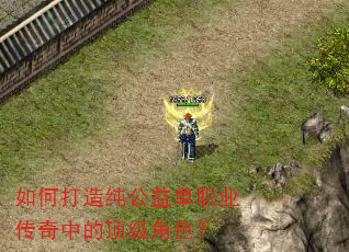 ��δ��촿���浥ְҵ�����еĶ�����ɫ��