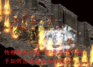 ����������ĸ�ְҵ��ǿ���������ѡ�����ʺϵ�ְҵ��