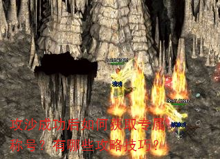 ��ɳ�ɹ�����λ�ȡר���ƺţ�����Щ���Լ��ɣ�