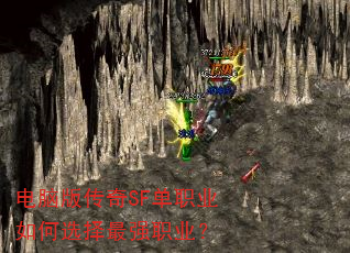���԰洫��SF��ְҵ���ѡ����ǿְҵ��