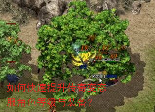 如何快速提升传奇变态服角色等级与装备? 如何快速提升传奇变态服角色等级与装备?