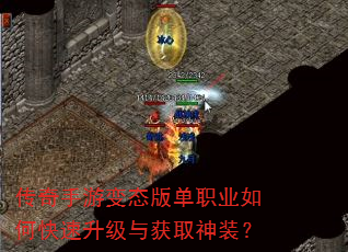 �������α�̬�浥ְҵ��ο����������ȡ��װ��