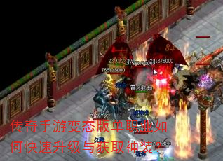 �������α�̬�浥ְҵ��ο����������ȡ��װ��