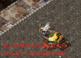 �¿�����ְҵ��վ������ο������֣���ǿ����ȫ����