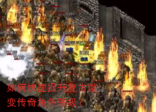 ��ο�����������΢�䴫���ɫ�ȼ���