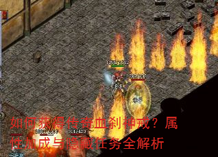 ��λ�ô���Ѫɲ��䣿���Լӳ�����������ȫ����