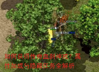 ��λ�ô���Ѫɲ��䣿���Լӳ�����������ȫ����