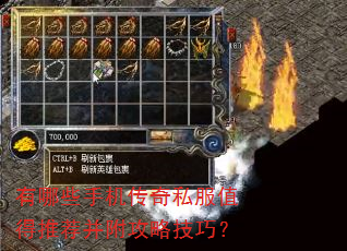 有哪些手机传奇私服值得推荐并附攻略技巧? 有哪些手机传奇私服值得推荐并附攻略技巧?