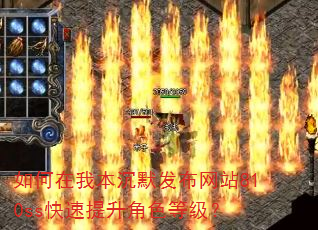 ������ұ���Ĭ������վ810ss����������ɫ�ȼ���