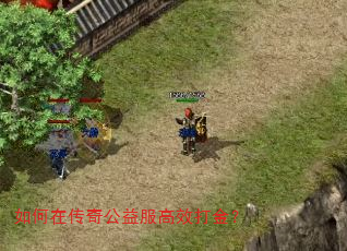 ����ڴ��湫�����Ч���