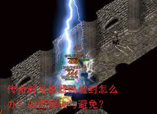 �����Ż����뱻����ô�죿��ν������⣿