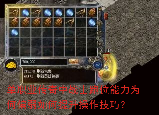 ��ְҵ������սʿ��λ����Ϊ��ƫ����������������ɣ�