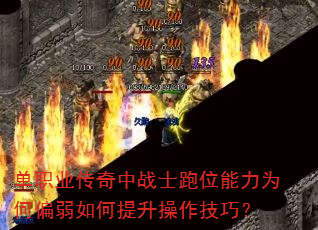 ��ְҵ������սʿ��λ����Ϊ��ƫ����������������ɣ�