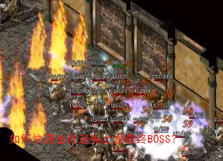 ��ο��ٻ�����ʧ֮������BOSS��