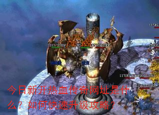 �����¿���Ѫ������ַ��ʲô����ο����������ԣ�