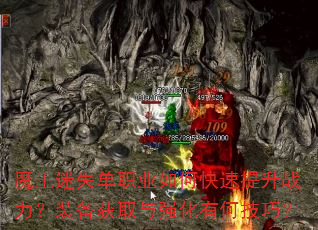 ħ����ʧ��ְҵ��ο�������ս����װ����ȡ��ǿ���кμ��ɣ�
