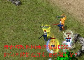 ������Ϸ��ͼ��������BOSS����θ�Ч��ս����ȡ��ϡװ����