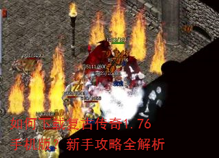 ������ظ��Ŵ���1.76�ֻ��棿���ֹ���ȫ����