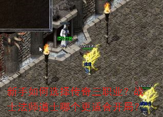 �������ѡ������ְҵ��սʿ��ʦ��ʿ�ĸ����ʺϿ��֣�