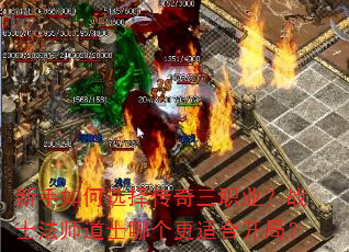 �������ѡ������ְҵ��սʿ��ʦ��ʿ�ĸ����ʺϿ��֣�